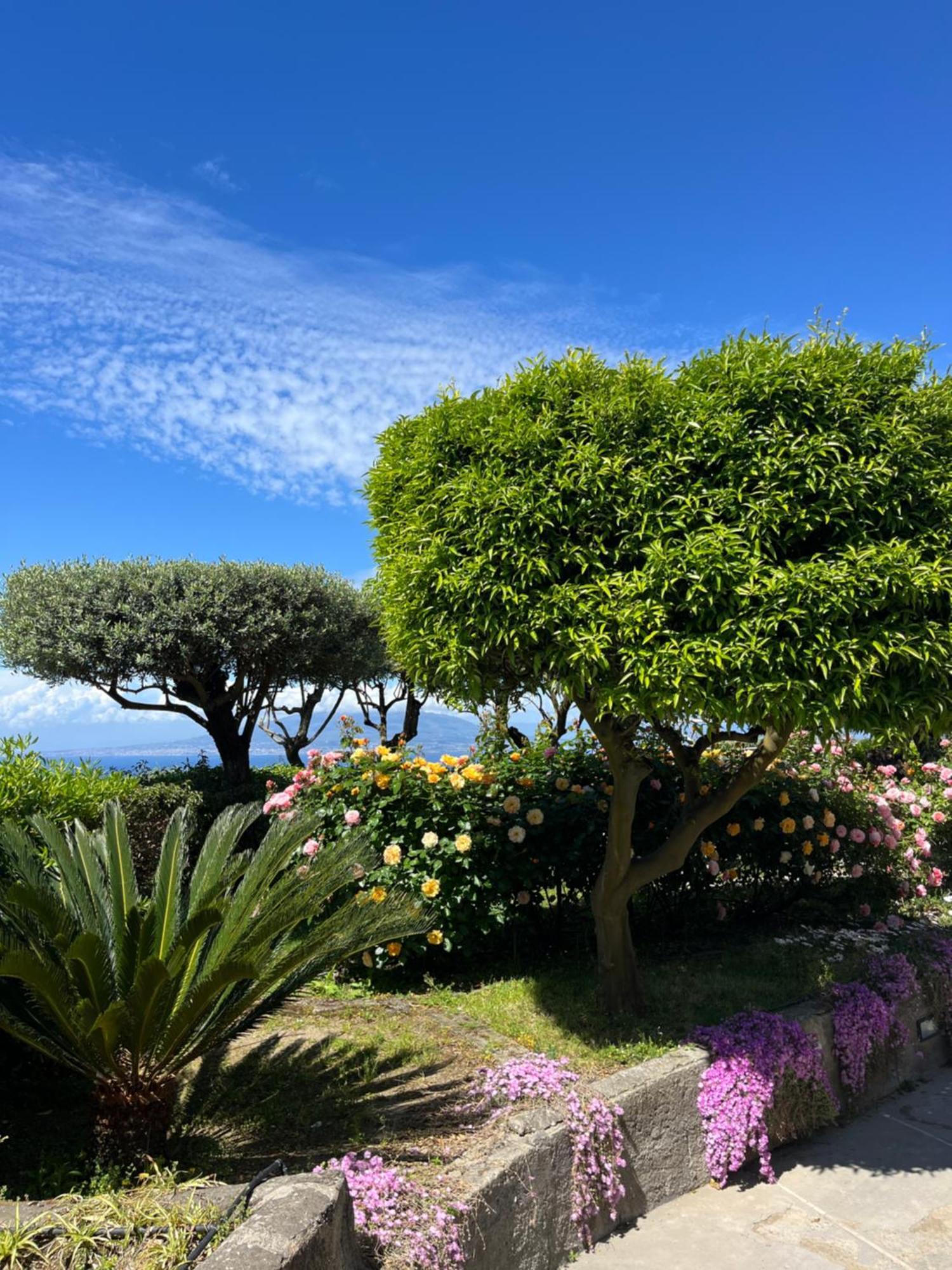 Sorrento Garden Hotel Exterior foto